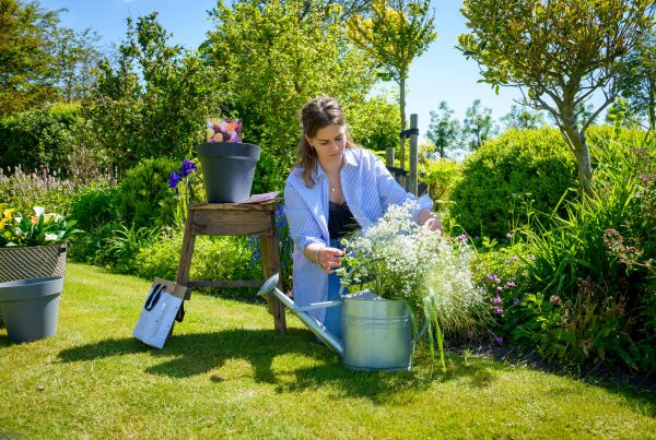 Tips for gardening